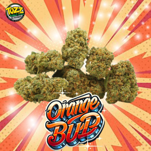 Orange Bud CBD - Flor premium con aroma cítrico y fresco. Cultivada en invernadero, ideal para una relajación natural. Envío en 24 horas hábiles.