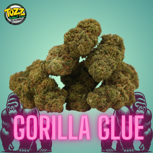 gorilla glue cbd
