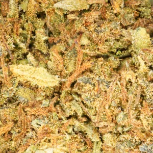 ack Herer CBD Invernadero - Cruce de Haze, Northern Lights #5 y Shiva Skunk. Aroma especiado, potencia equilibrada y calidad premium. Envío 24h