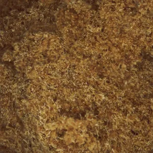 King Hassan CBD Hachís - Hachís premium con 16% CBD, textura cremosa y aroma especiado. Alta calidad y envío rápido y discreto.