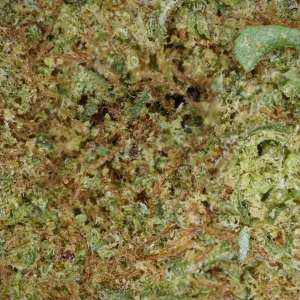 Kryptonite CBD Flor - Cultivo hidropónico premium con aroma afrutado y dulce. Frescura inigualable y máxima calidad. Envío rápido en 24h