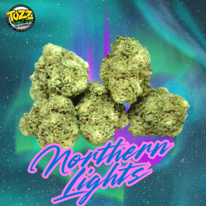 Northern Lights CBD Interior - Flor premium cultivada en invernadero con aromas frescos de pino y eucalipto. Secado en frío para máxima frescura y calidad.