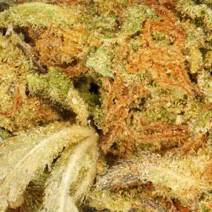 Strawberry CBD Flor - Cogollos premium cultivados en invernadero en Italia, con aroma dulce y afrutado. Calidad superior y envío rápido