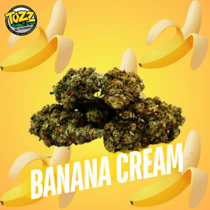 Banana Cream CBG Flor - Buds grandes, aroma dulce y cremoso, alta concentración de CBG. Calidad premium y envío rápido en 24h.
