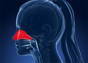 cbd y alergias