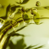 Botella de aceite de CBD junto a hojas de cáñamo, representando un producto natural para el bienestar