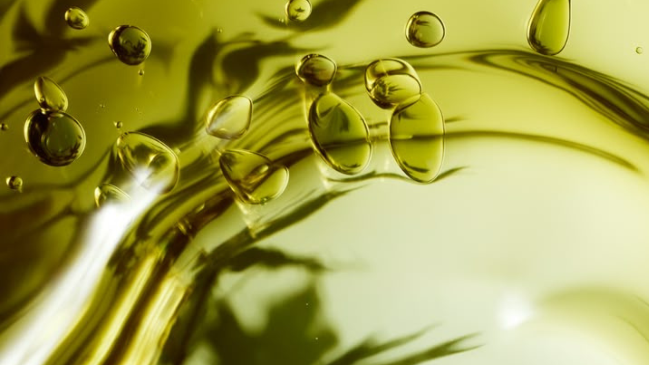 Botella de aceite de CBD junto a hojas de cáñamo, representando un producto natural para el bienestar