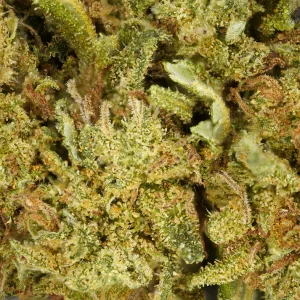 Cookie Kush CBD