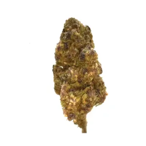 Purple Haze CBD