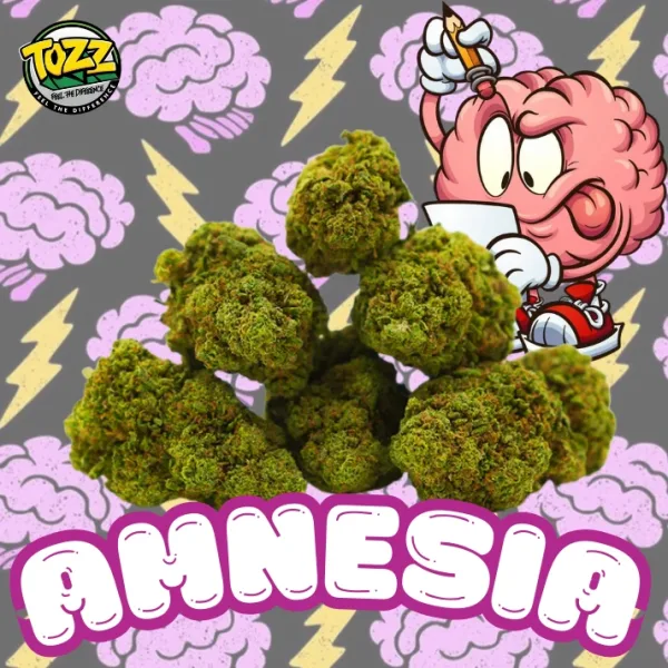 Amnesia interieur CBD