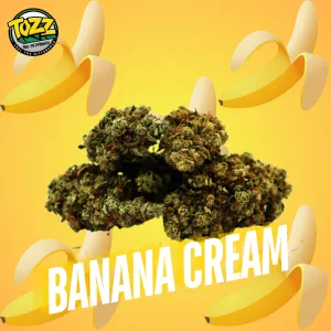 Banana Cream CBG