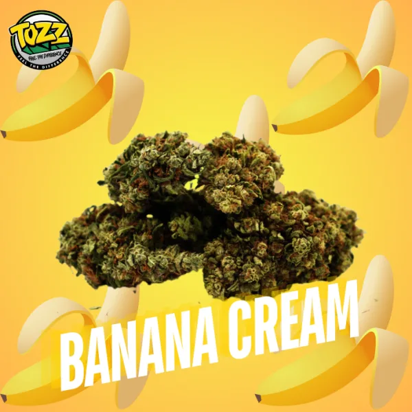 Banana Cream CBG