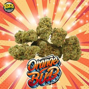 Orange Bud CBD