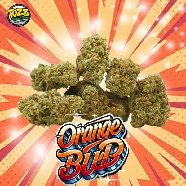 Orange Bud CBD